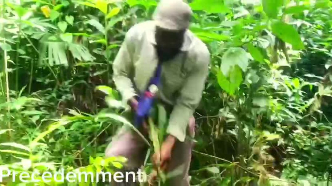 LA VACANCIÈRE 4ème partie version complète